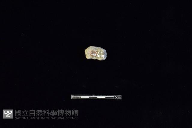 陶片藏品圖，第2張