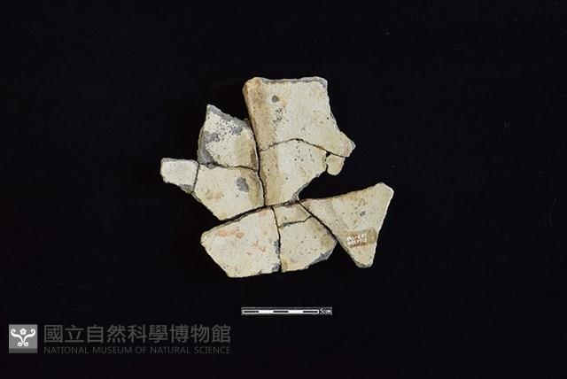 陶片藏品圖，第2張