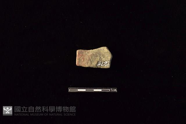 Accession Number:HLL-D PT3082 Collection Image, Figure 2, Total 2 Figures