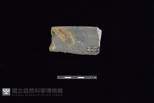 陶罐藏品圖，第2張