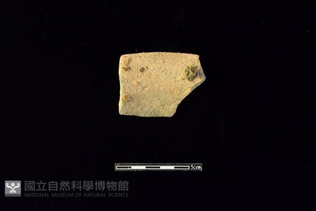 陶罐藏品圖，第2張