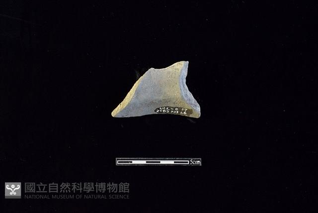 陶罐藏品圖，第2張