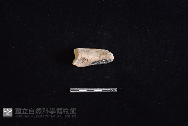 陶罐藏品圖，第2張