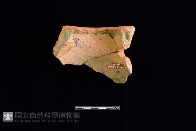 陶片藏品圖，第2張