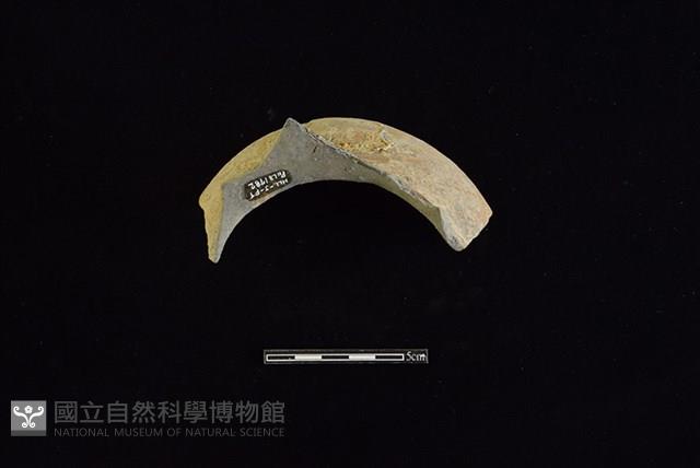 陶罐藏品圖，第2張