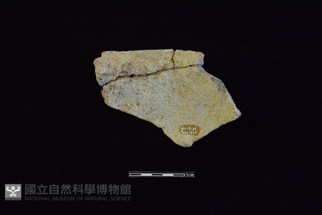 陶罐藏品圖，第2張