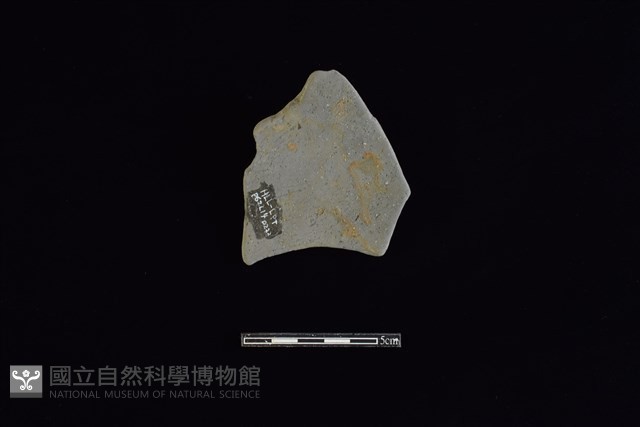 陶片藏品圖，第2張