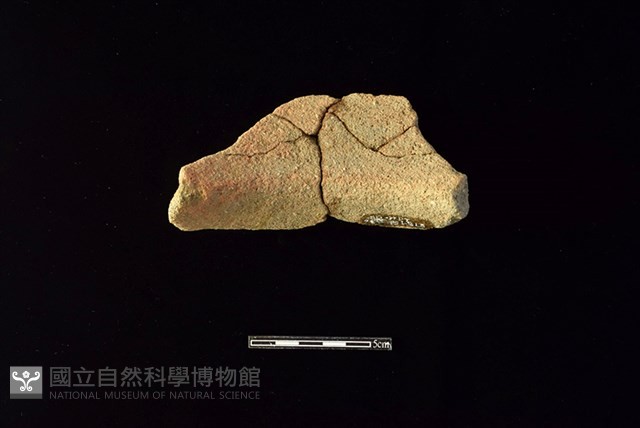 陶罐藏品圖，第2張