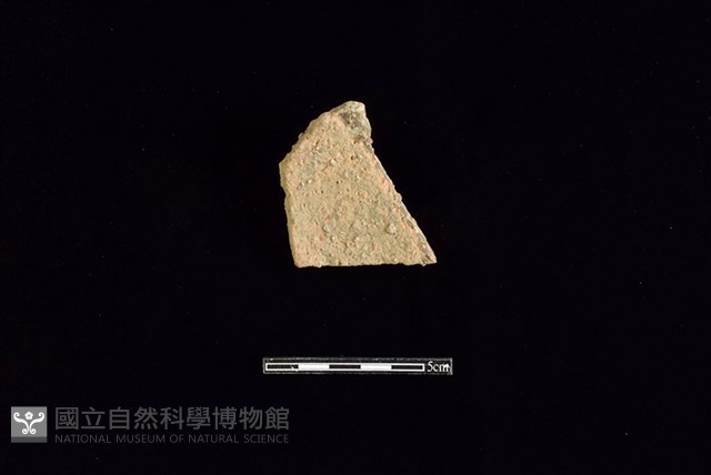 陶片藏品圖，第2張