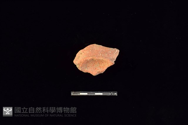 陶片藏品圖，第2張