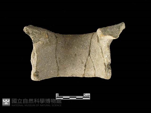 陶罐藏品圖，第2張