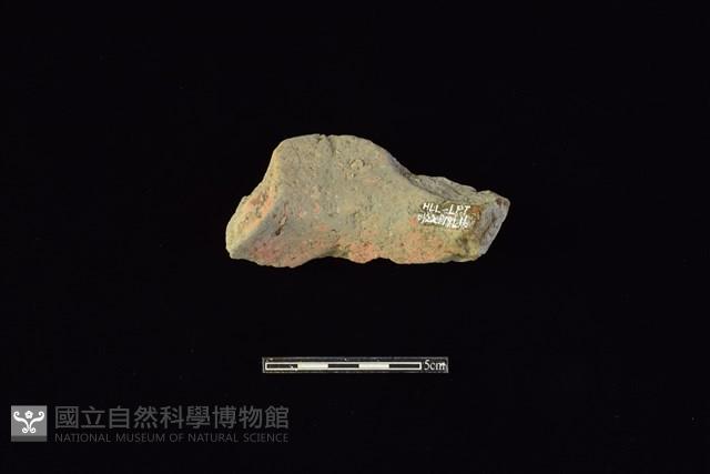 陶片藏品圖，第2張