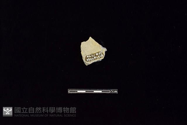 陶片藏品圖，第2張