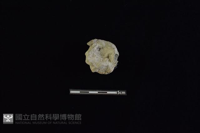 陶蓋鈕藏品圖，第2張