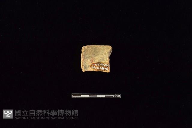 陶片藏品圖，第2張