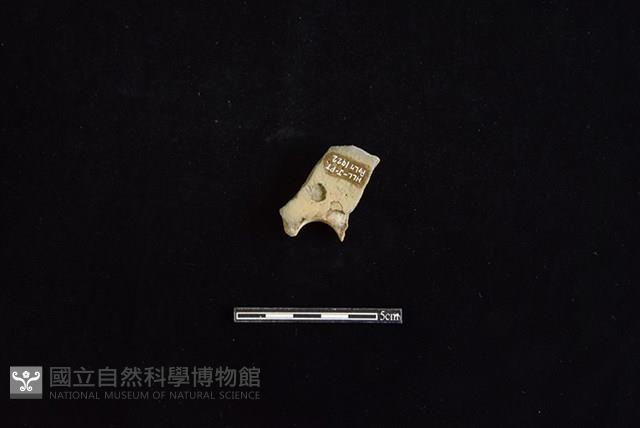 陶甑藏品圖，第2張