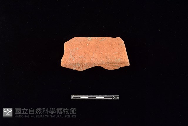 陶罐藏品圖，第2張