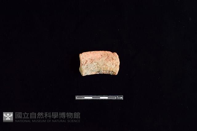 陶片藏品圖，第2張