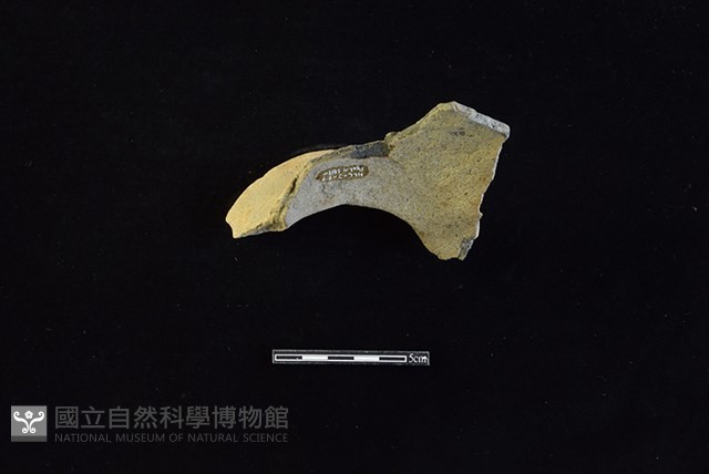 陶罐藏品圖，第2張