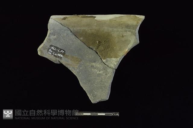 陶罐藏品圖，第2張