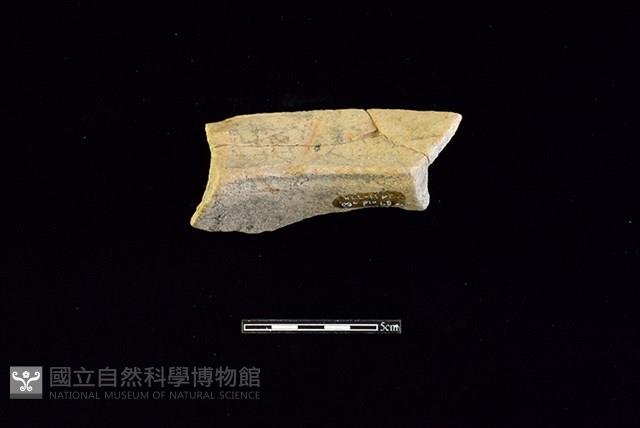 陶罐藏品圖，第2張