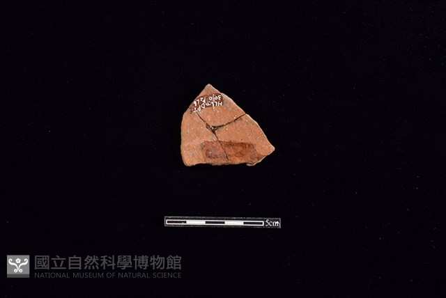 陶片藏品圖，第2張
