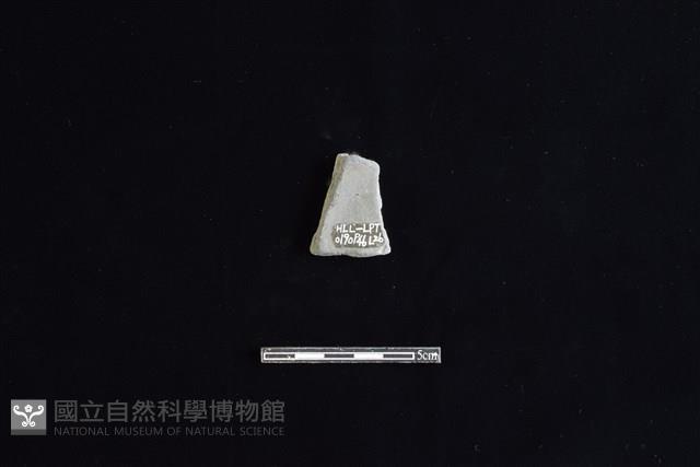 陶片藏品圖，第2張