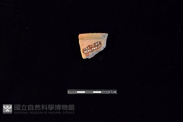 陶片藏品圖，第2張