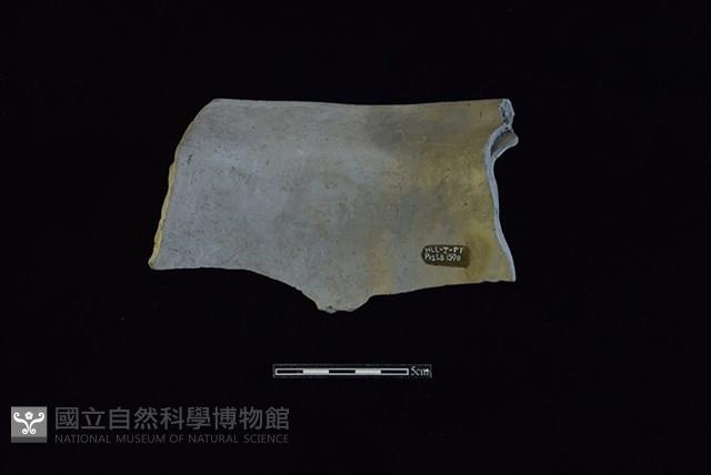 陶罐藏品圖，第2張