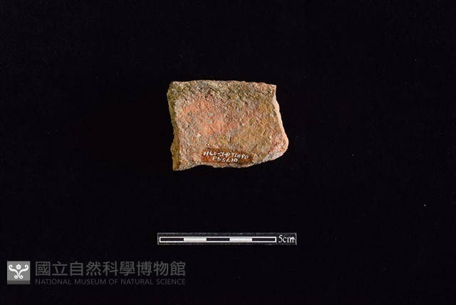 陶罐藏品圖，第2張