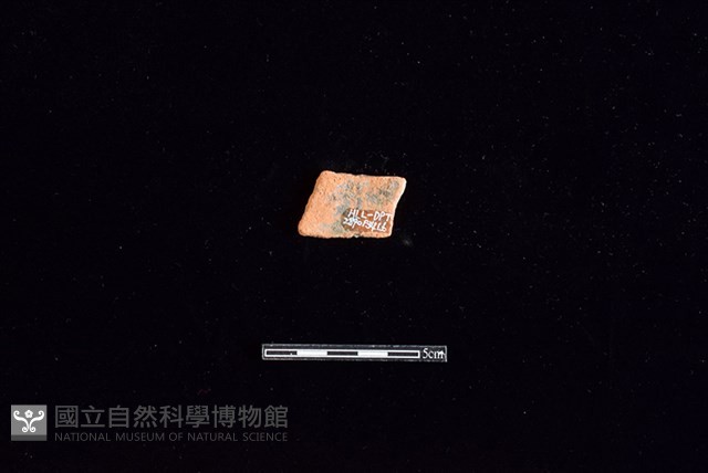 陶片藏品圖，第2張