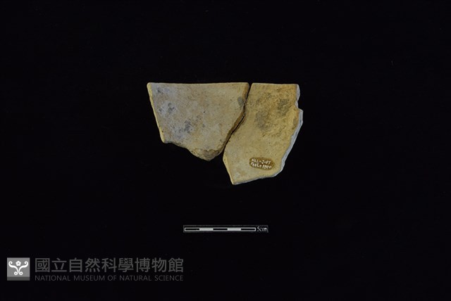 陶缽藏品圖，第2張