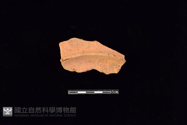 陶片藏品圖，第2張