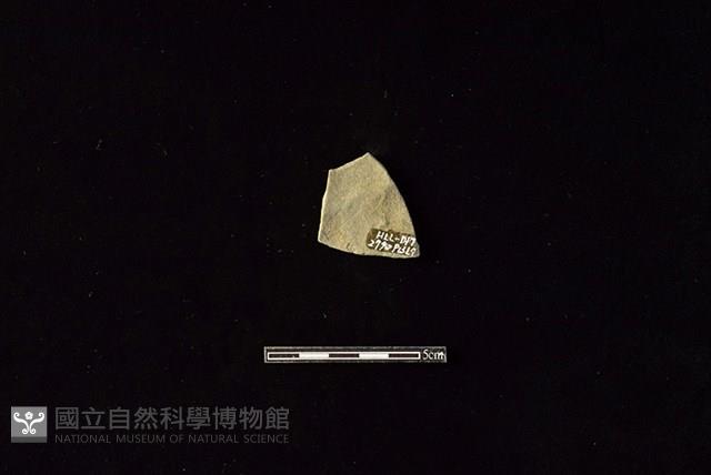 陶片藏品圖，第2張