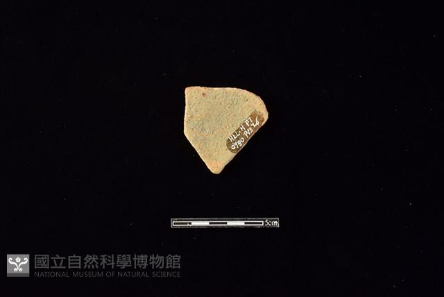 陶片藏品圖，第2張