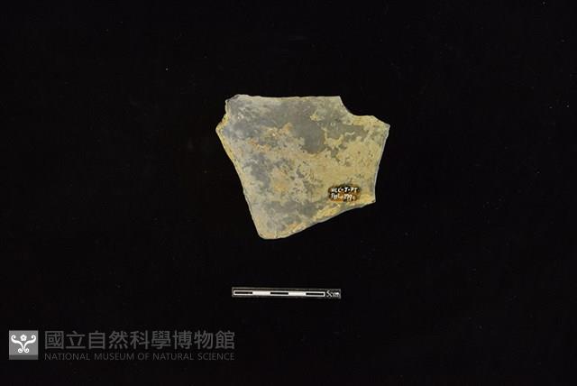 陶罐藏品圖，第2張