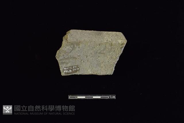 陶罐藏品圖，第2張