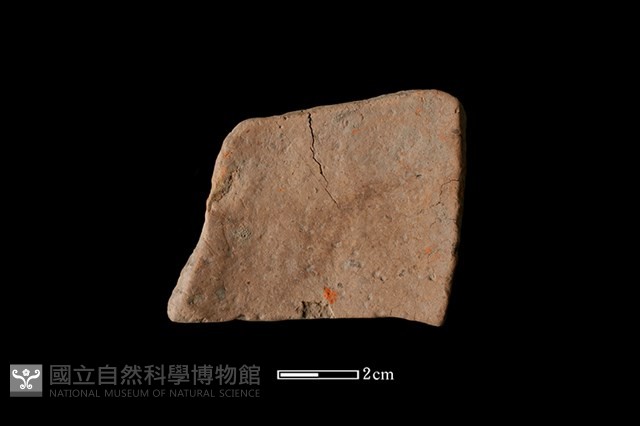 陶片藏品圖，第2張