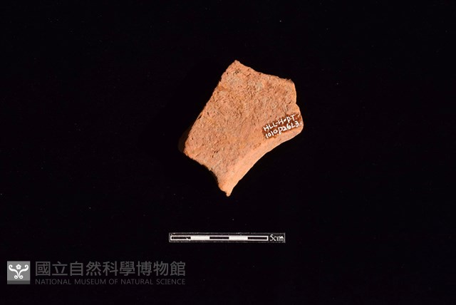連杯形器藏品圖，第2張