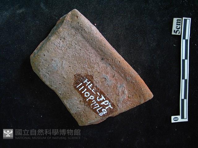 陶片藏品圖，第2張