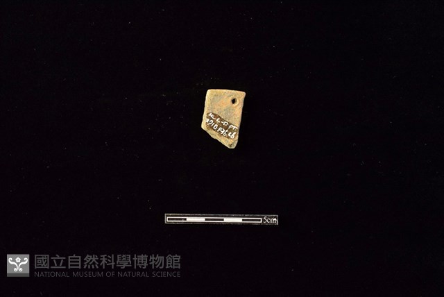 陶片藏品圖，第2張