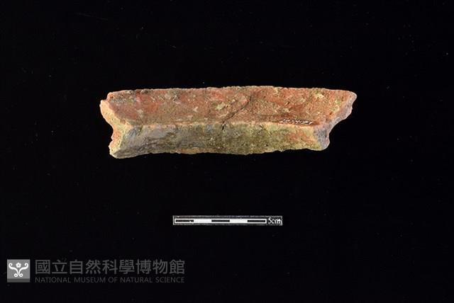 陶罐藏品圖，第2張