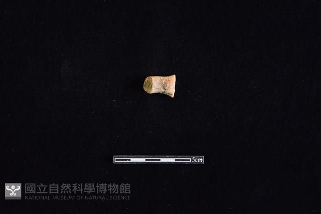 陶把藏品圖，第2張