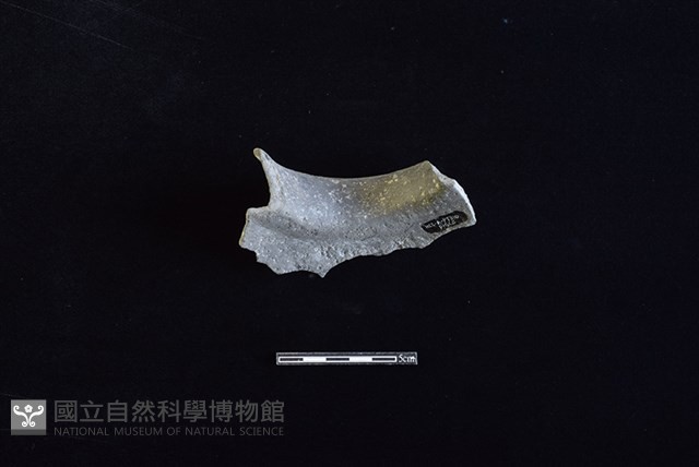 陶罐藏品圖，第2張