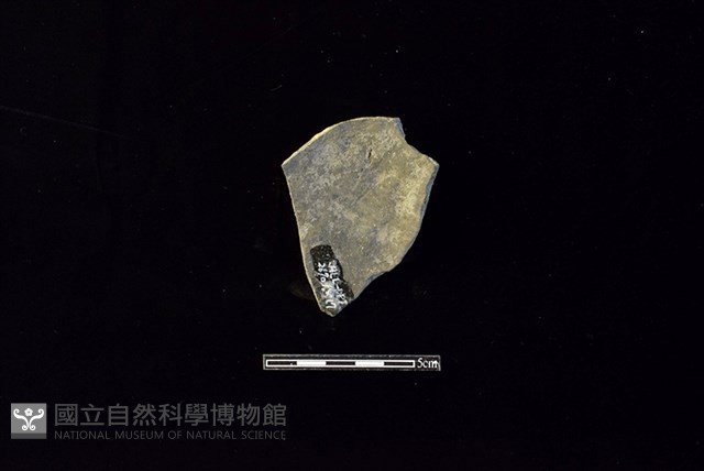 陶片藏品圖，第2張