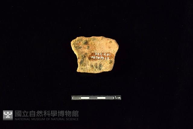 陶片藏品圖，第2張