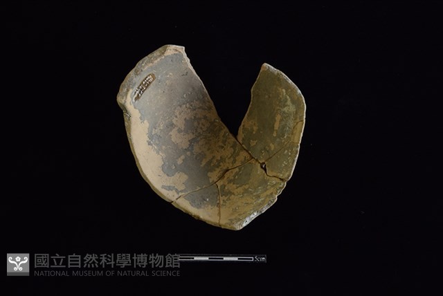 陶片藏品圖，第2張
