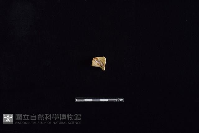 陶把藏品圖，第2張