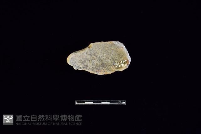 陶片藏品圖，第2張