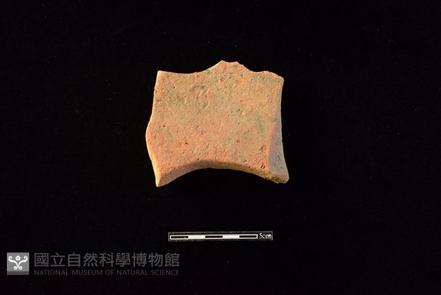 連杯形器藏品圖，第2張